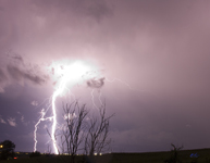 September Storm 5452